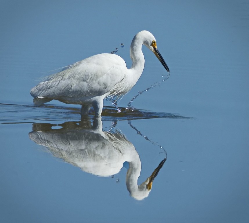 ACCEPTANCE.....Ray Sutton
